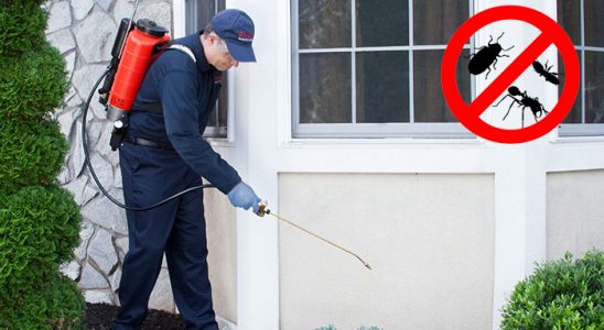 Üçkuyular Böcek İlaçlama böcek ilaçlama ve haşere kontrolü — ilaclama-tr.com